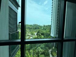 Normanton Park (D5), Apartment #497139071